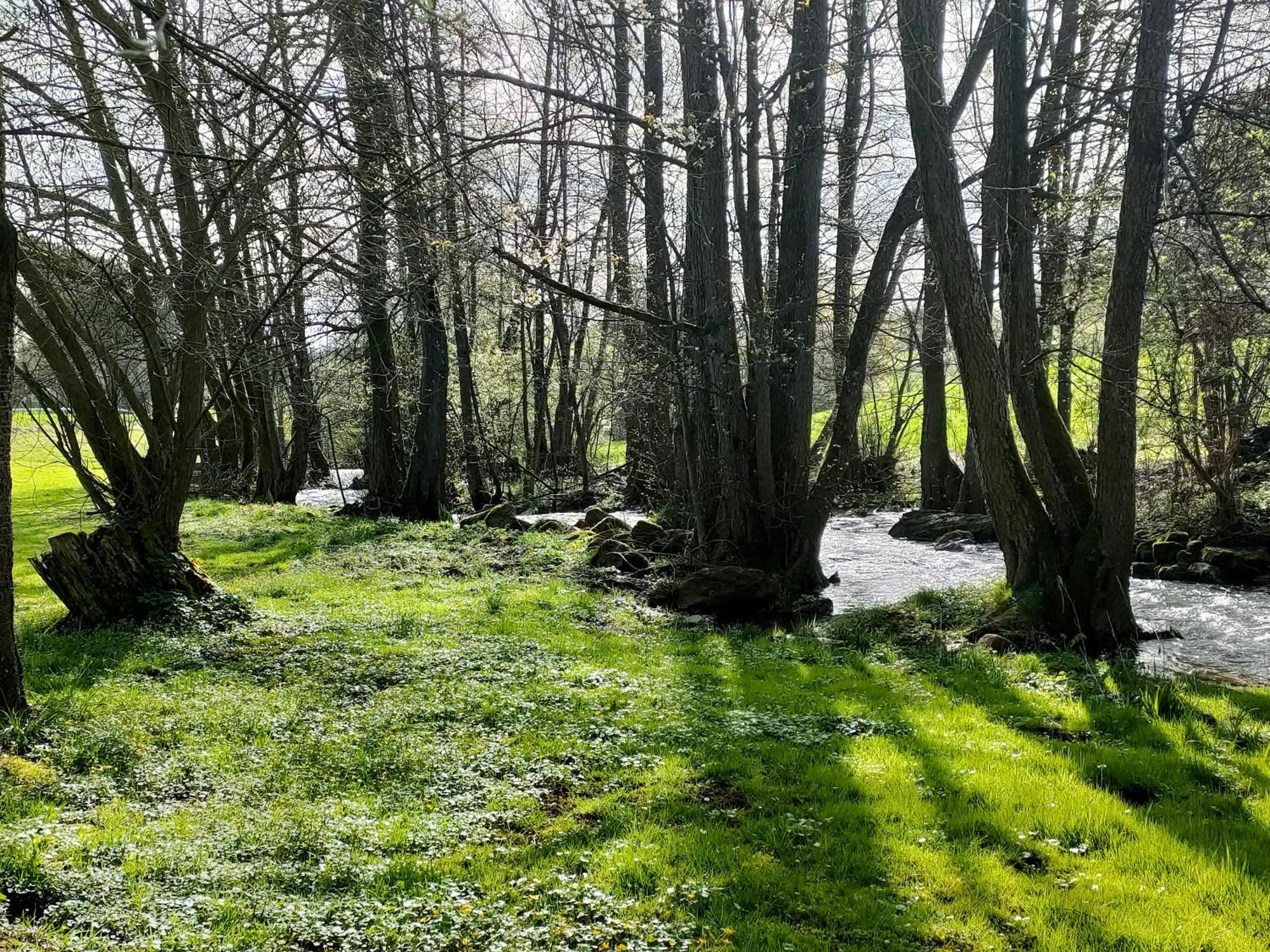 Wind In Den Weiden, Uebernachten Am Bachlauf Birstein Eksteriør bilde