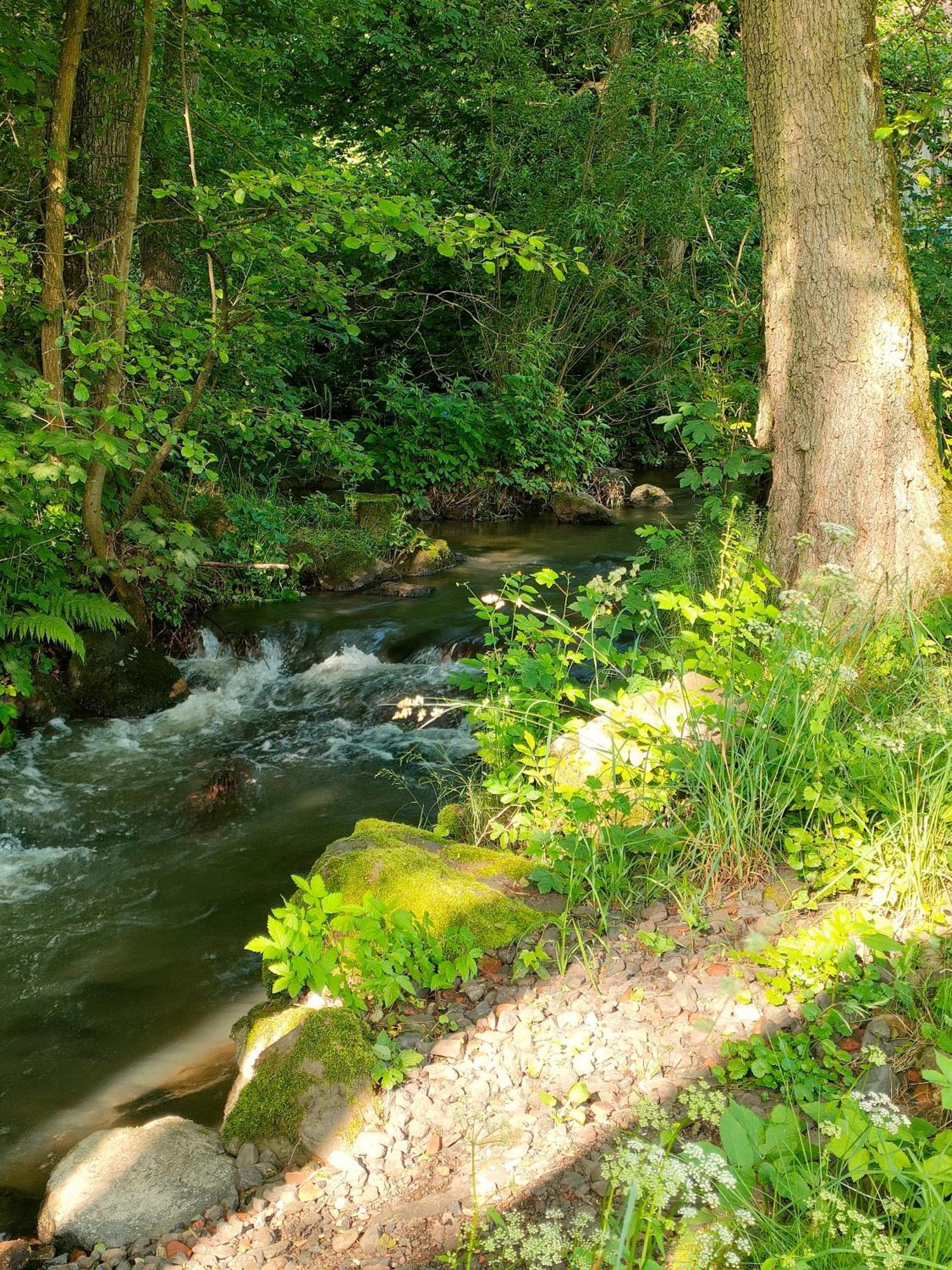 Wind In Den Weiden, Uebernachten Am Bachlauf Birstein Eksteriør bilde