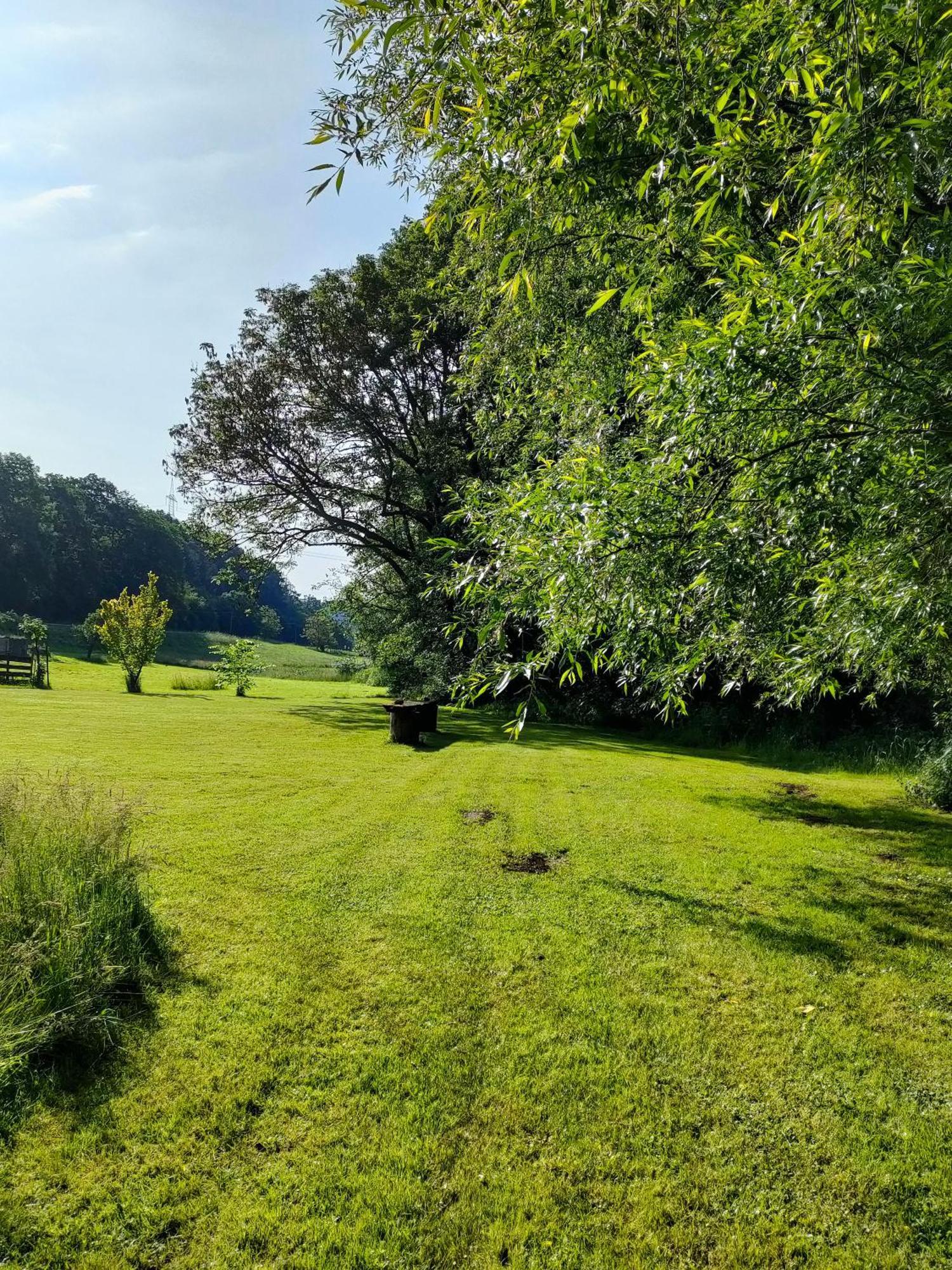 Wind In Den Weiden, Uebernachten Am Bachlauf Birstein Eksteriør bilde